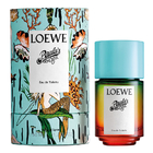 Loewe Paula's Ibiza