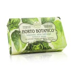 Nesti Dante Horto Botanico Lettuce